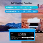 SunGoldPower 24V 100AH LifePO4 Deep Cycle Lithium Battery Bluetooth / Self-Heating / IP65 - 图片 6