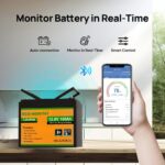 ECO-WORTHY 12V 100Ah LiFePO4 Battery With Bluetooth And Low-Temperature Protection - 图片 2