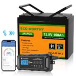 ECO-WORTHY 12V 100Ah LiFePO4 Battery With Bluetooth And Low-Temperature Protection - 图片 10