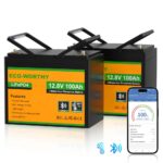 ECO-WORTHY 12V 100Ah LiFePO4 Battery With Bluetooth And Low-Temperature Protection - 图片 11