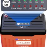 ECO-WORTHY 12V 100AH Lithium Battery with Battery Status Display and 100A BMS with Low-Temp Protection