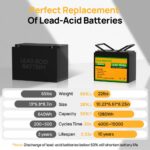 ECO-WORTHY 12V 100Ah Lithium Iron Phosphate Battery - 图片 6
