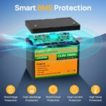 ECO-WORTHY 12V 100Ah Lithium Iron Phosphate Battery - 图片 4