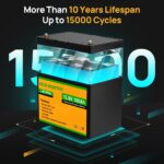 ECO-WORTHY 12V 100Ah Lithium Iron Phosphate Battery - 图片 3