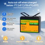ECO-WORTHY 12V 100Ah Lithium Iron Phosphate Battery - 图片 2