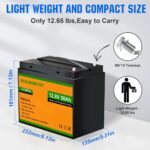 ECO-WORTHY 12V 50Ah Lithium Iron Phosphate Battery - 图片 3
