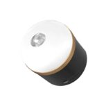 EcoFlow Camping Light - 图片 2