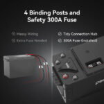 Pecron WB12200 Lithium 12V 200Ah Deep Cycle LiFePO4 Battery - 图片 10